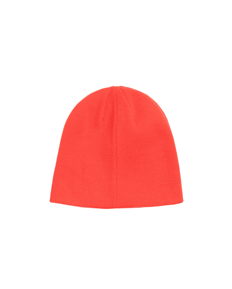 BEANIE RAW hover